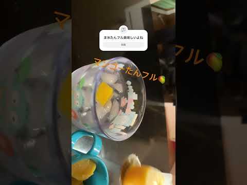 マンゴー🥭たんフル作ってみた #氷たんフル