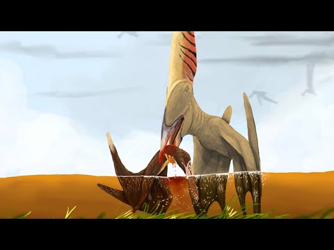 The Pterosaur With the Most Outrageous Head in History