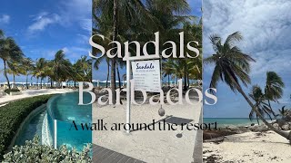 SANDALS BARBADOS - FULL RESORT TOUR 2025!🇧🇧☀️🌴