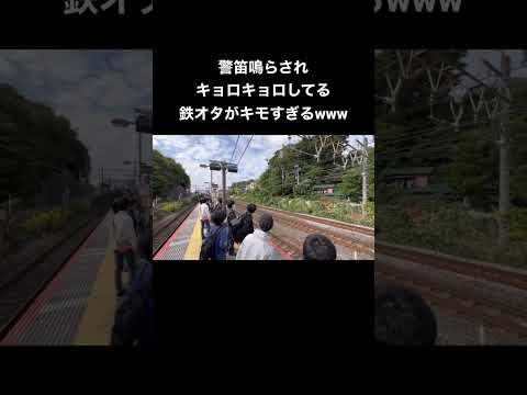 警笛鳴らされキョロキョロしてる鉄オタがキモすぎるwww