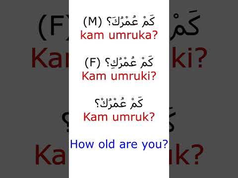 Basic Arabic phrases #shorts