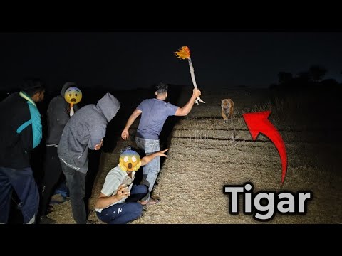 एक रात जंगल में | Night Camping in Dangerous Forest 😨