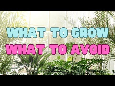 Choosing the Right Plants for Your Home