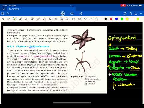 Echinodermata 💥NCERT exam liners 🔥