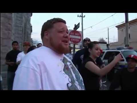 they killing cats