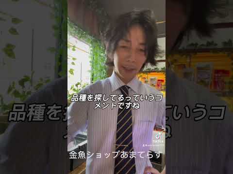 長野県にお住まいのメダカファンの皆様大変お待たせしました！メダカコーナー作りました！！お探しの品種ありましたら是非コメント下さい#アクアリウム #金魚屋 #国産金魚 #めだか #金魚