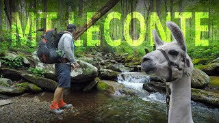 Mt LeConte SHELTER or LODGE? I Did Both-Backpacking Great Smoky Mountains Rainbow Falls Trillium Gap