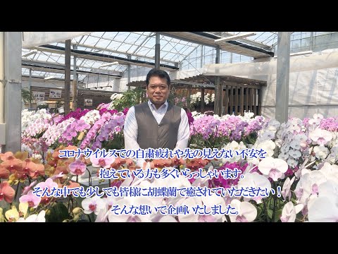 幸せを届けようプロジェクト