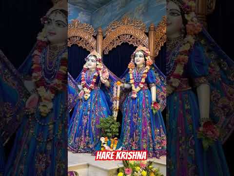 Today’s Darshan of Sri Sri Radhamadhava...... #love #darshan #iskcon #radhakrishna #2025
