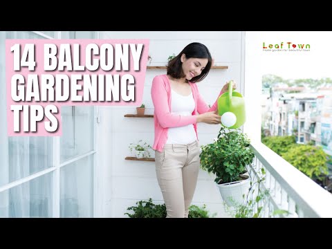 14 Balcony Gardening Tips to Follow Before Setting up a Balcony Garden｜Leaf Town