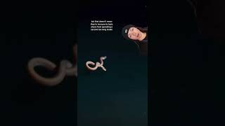 deep sea lakes