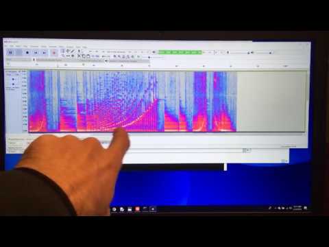 Sound Experiments & What is a Spectrogram