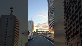 Discover Tokyo like never before! 🌆✨ Hidden gems #Tokyo #ExploreTokyo  #Japan