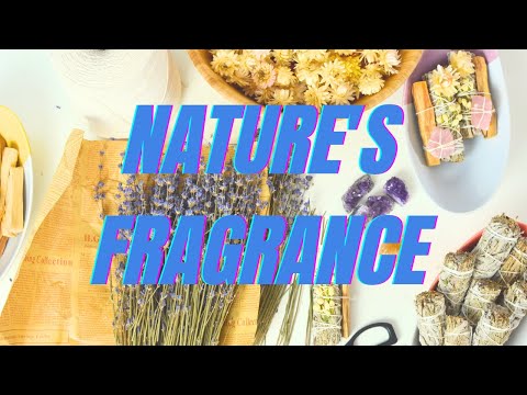 Enhancing Health and Energy with Burning Herbs
