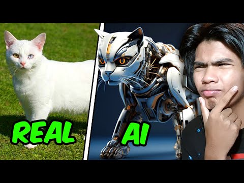 តើវីដេអូមួយណា ផលិតដោយ AI