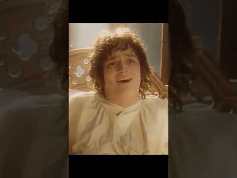 The Return of the King (Lord of the Rings) movie, the fellowship reunited