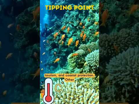 Coral Reefs at a Tipping Point: The Fight for Survival | #coralreefs  #SustainabilityShorts"
