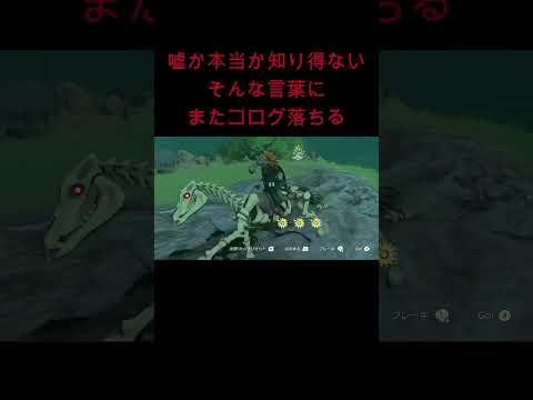 【ティアキン】ヤクサイ【アイドル】 #ゼルダの伝説 #ゲーム実況 #totk #ゼルダの伝説ティアーズオブザキングダム #ティアキン #推しの子 #アイドル #yoasobi