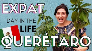 LIVING in MEXICO as an EXPAT | A Day in the Life