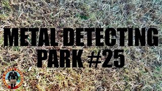 Park Metal Detecting |  Minelab Equinox 800