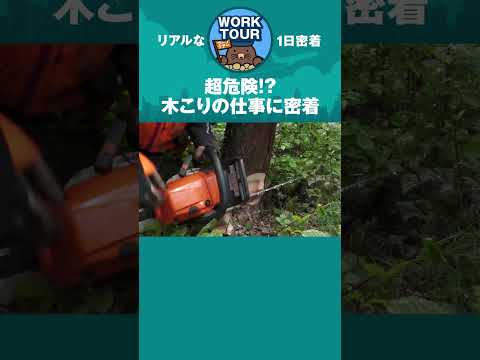 きこりの仕事に密着したら、、、#shorts