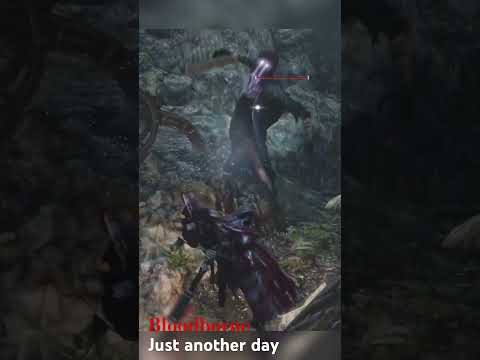 It all makes sense #bloodborne #hitbox #fromsoftware