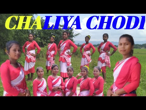 CHALIYA CHODI COVER VIDEO|| NILAV NITA||  ADIVASI SONG || #chaliya_chodi_video|| 2021#Nilav_nita