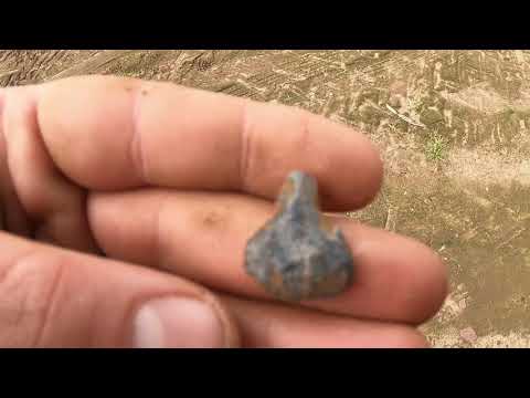 Follow the Sign #metaldetecting #artifacthunting #tipsandtricks