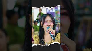 KISINAN  #ap_multimedia