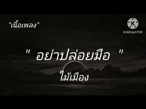 [เนื้อเพลง]🎶 อย่าปล่อยมือ ไม้เมือง