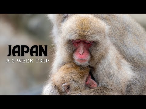 JAPAN adventure of a lifetime