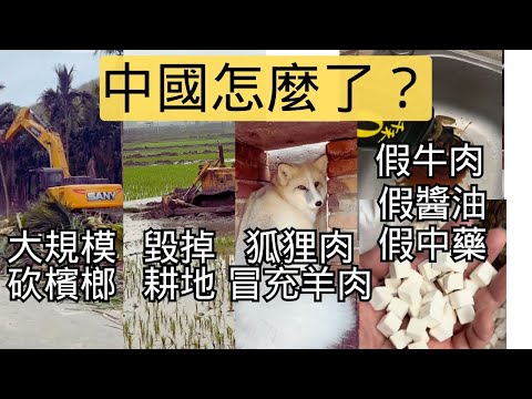 一邊砍檳榔樹恢復農田，一遍鏟農田建廠房，牛肉羊肉都是狐狸肉假冒的，連中藥和醬油都出現假貨。黃燜雞還是剩菜加工的。