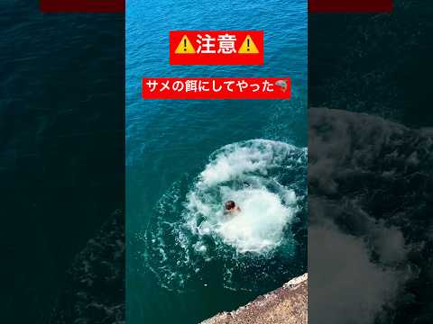 ⚠️閲覧注意⚠️#鮫 #サメ #海 #ダイビング #シュノーケル #shark #sharks #バディ #ドッキリ #いたずら #ダイバー #diving #シュノーケル #shorts