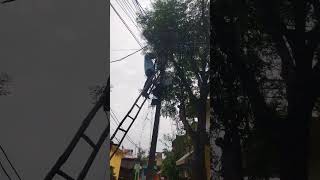 Meri Gadi Mera Bangla Sab Tero Sanwariya Seth Mera To Kuchh Bhi NahiVijay#shyambababhajan2024  #cat