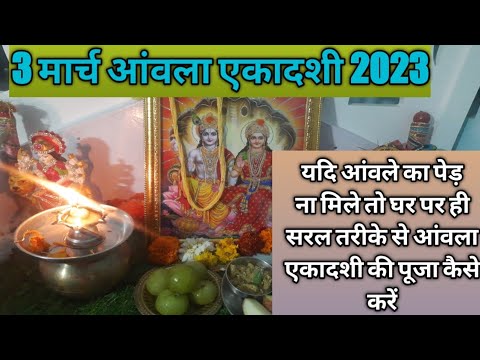 3 मार्च आंवला एकादशी 2023 आंवले का पेड़ ना मिले तो घर पर ही पूजा कैसे करें #pujavidhi #ekadashi2023