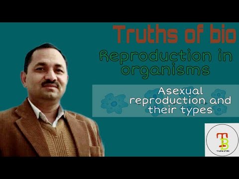 Asexual Reproduction, Types of asexual reproduction. NEET, By: R.M.Shukla Sir