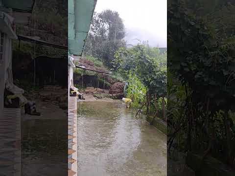Pani rukva do #shorts #pahadi #cricket #viral