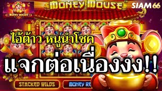 #SIAM66 : เกมส์สล็อต Money Mouse #หนูนำโชค