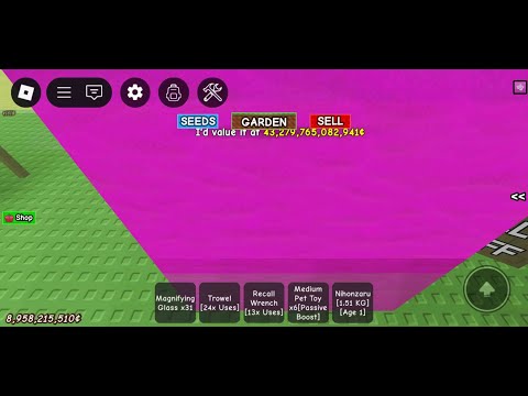 Live Playing Grow a Garden