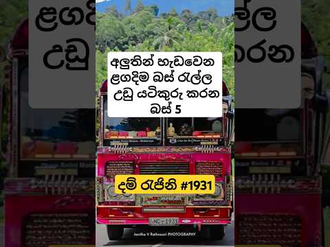Comming soon බස් 5 ❤️😱 #dhamrejini #automobile #trending #viralvideo #buslover #busfan #sinhala
