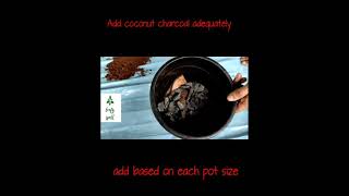 how to prepare a potting mixture?     audio source-youtube studio audio library
