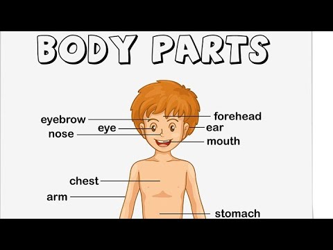 #Childlearnkidsaal man body part names and picSome play and some learn 🤣#short
