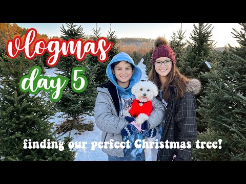 Cutting a Real Christmas Tree! Best Family Tradition // Vlogmas Day #5