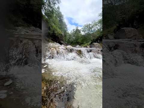 Look where this gold was hiding 🫣 #goldpanning #goldprospecting #goldrush
