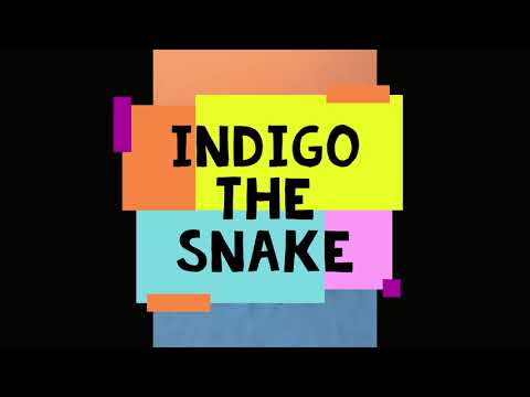 Indigo the Snake / stop motion