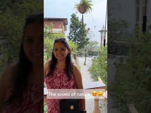 Hidden Cafes Of Thano Area, Dehradun !! #dehradunvlogger #dehradunlove #cafevlog #natureexperience