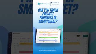 Can you track project progress in smartsheet?