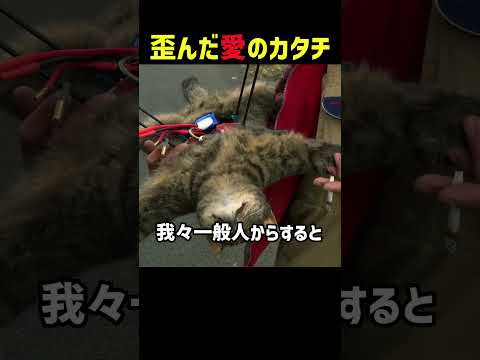 歪んだ愛のカタチ