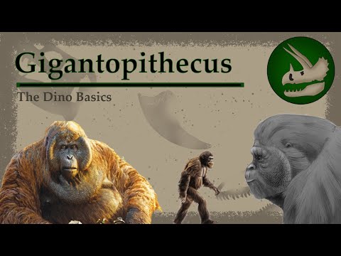 Gigantopithecus | The Greatest Ape of All Time | Dino Basics
