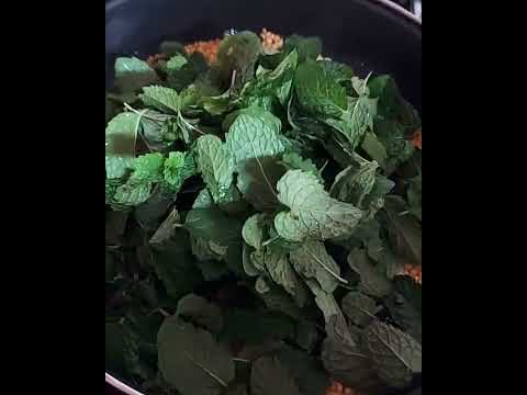 Homemade mint thogayal #homegrownmint #homemadefood #homegrown #mintchutney #cookingathome